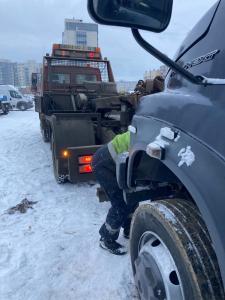 Фотография Медведь 5