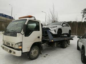 Фотография Медведь 3