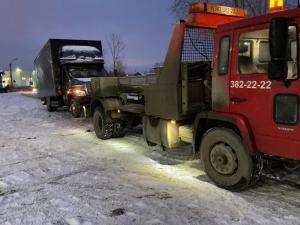 Фотография Медведь 2