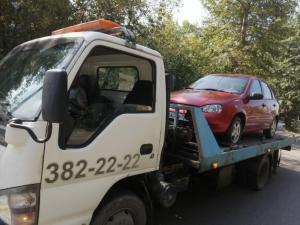 Фотография Медведь 4